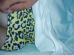 Bucmast latino dormida